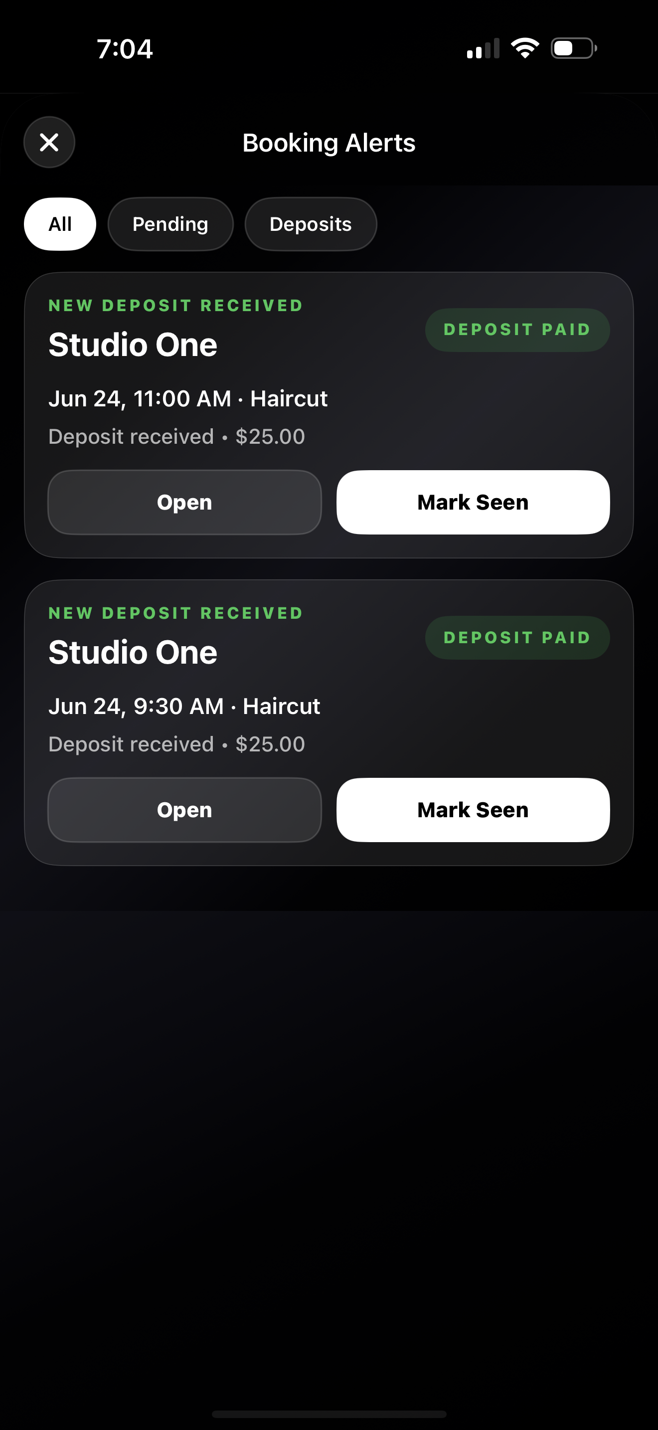 Net Studio deposit booking alerts