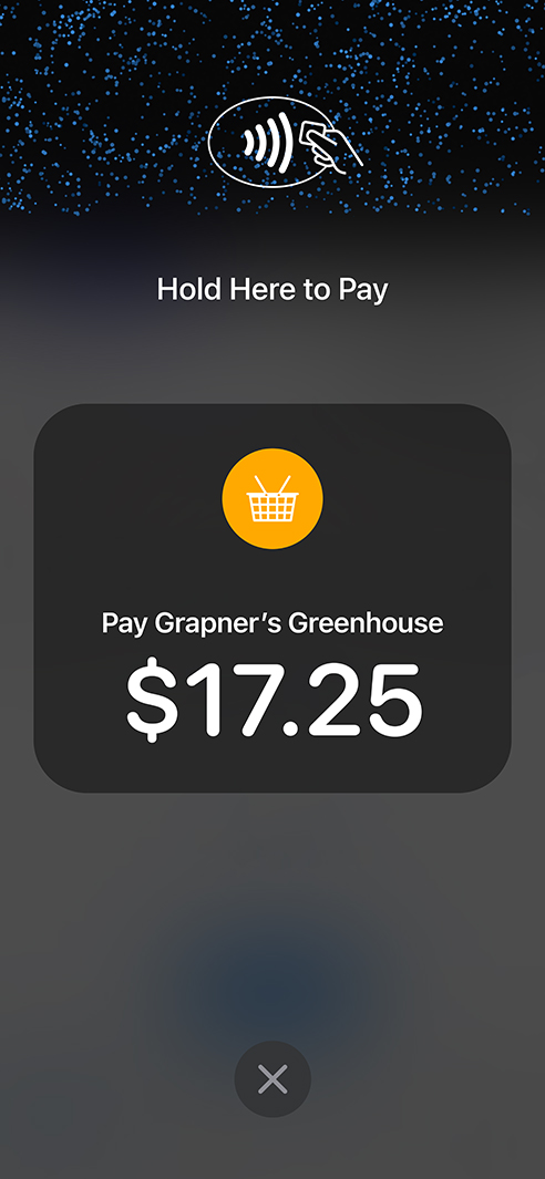 Tap to Pay on iPhone inside Net Studio